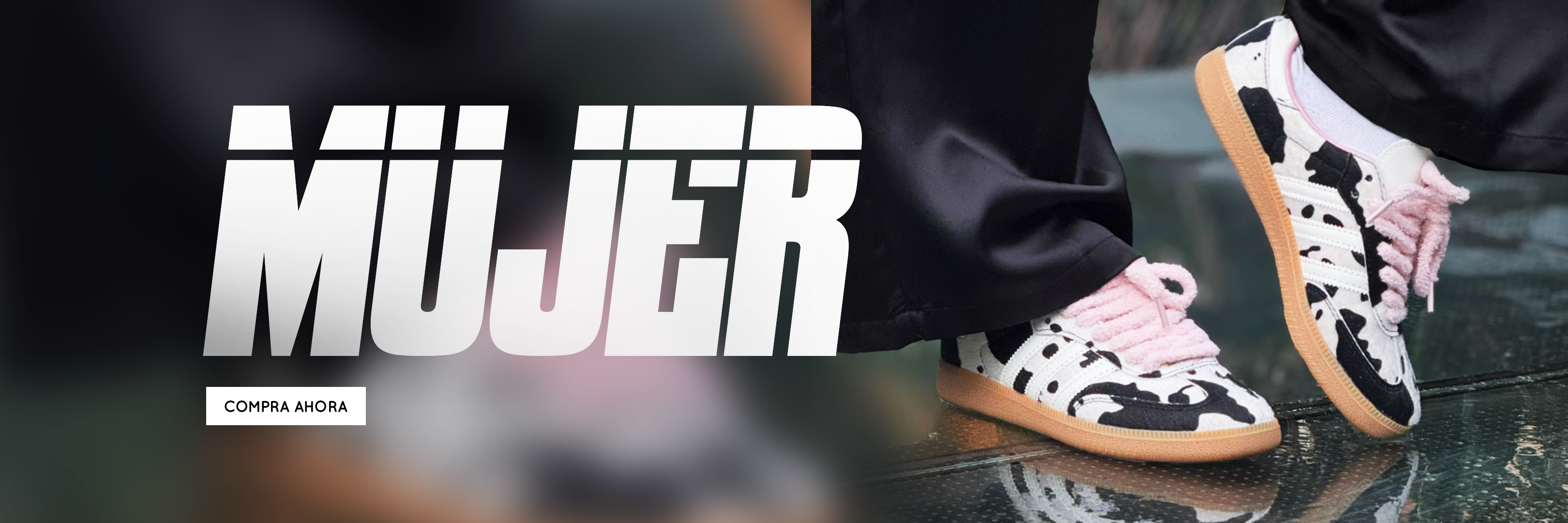 Desktop Banner