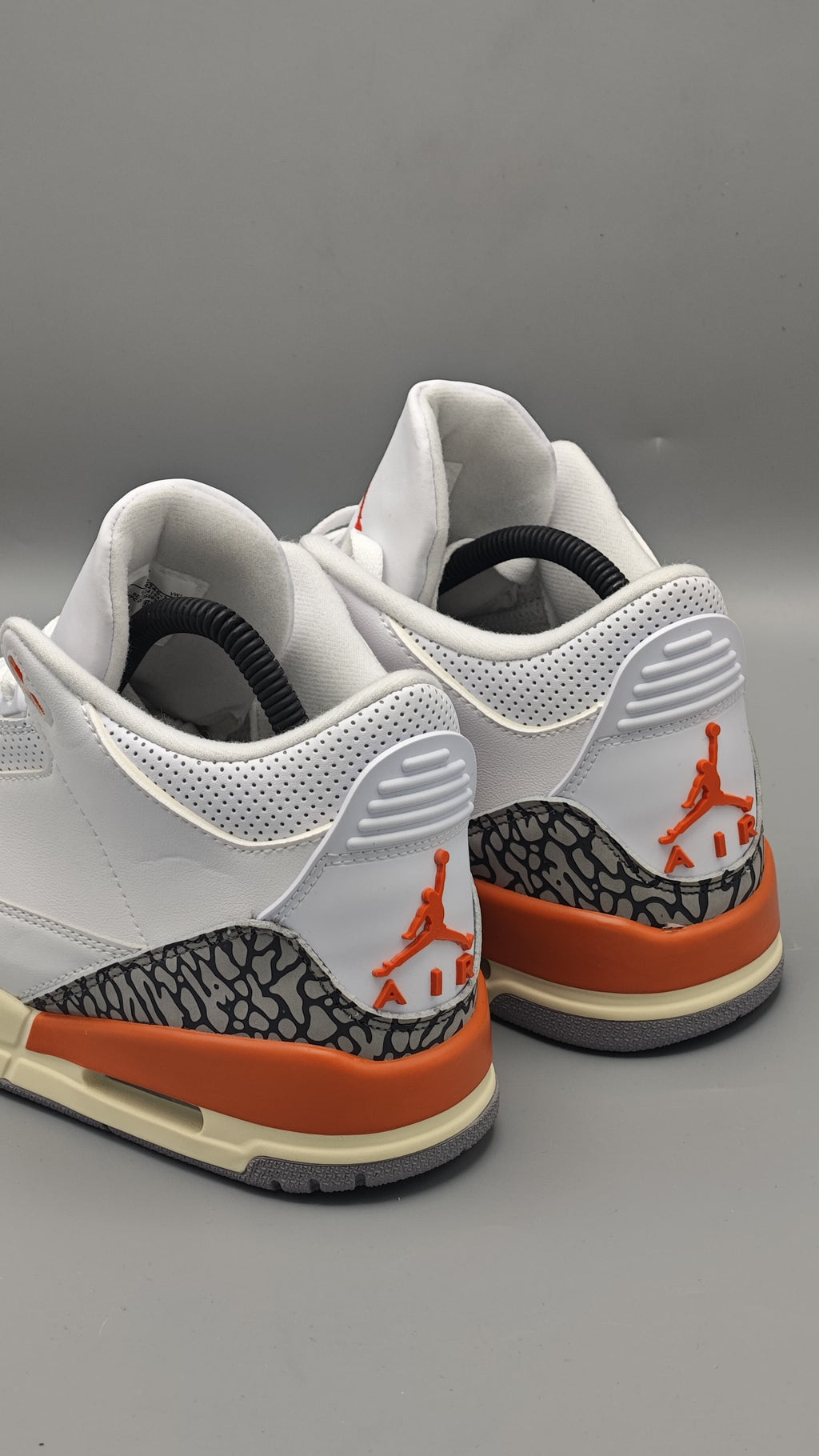 Air Jordan Retro 3 Georgia