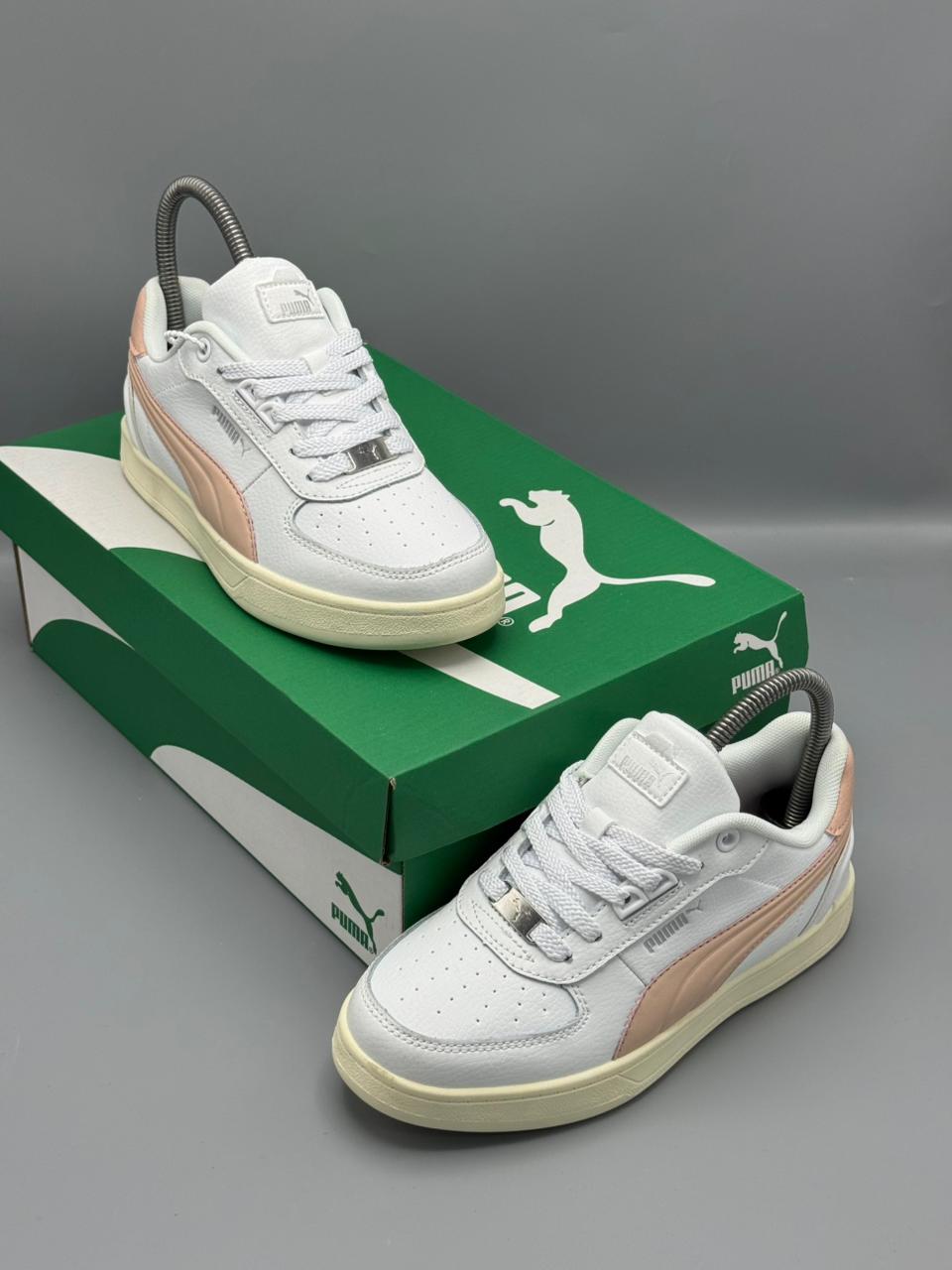 Puma Court