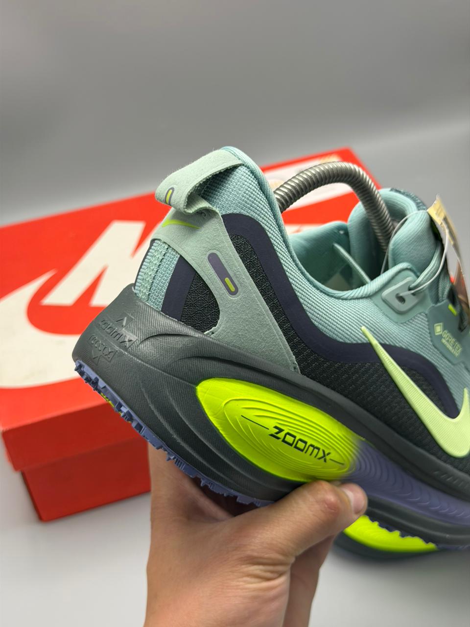 Nike Pegasus