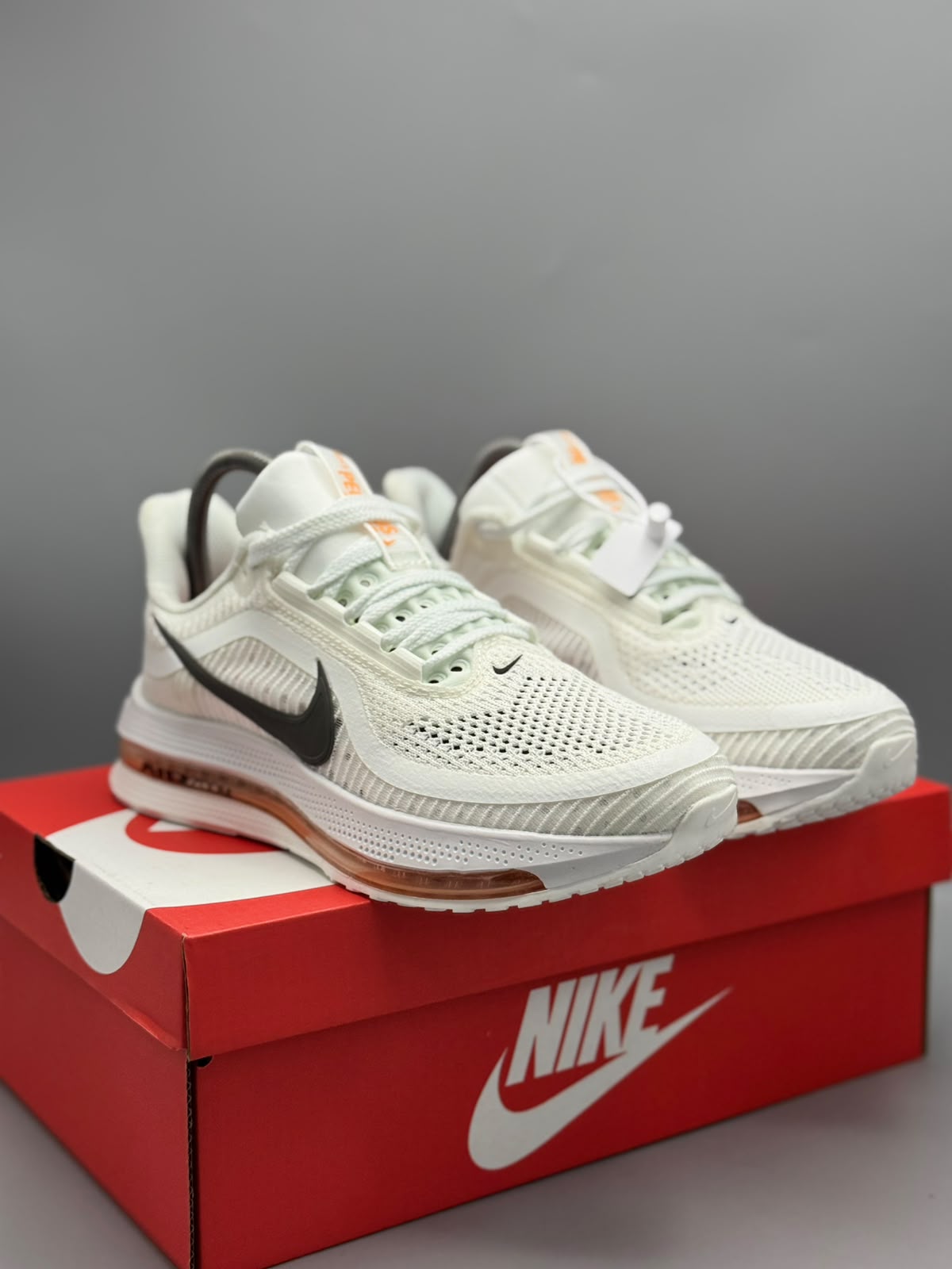 Nike Pegasus