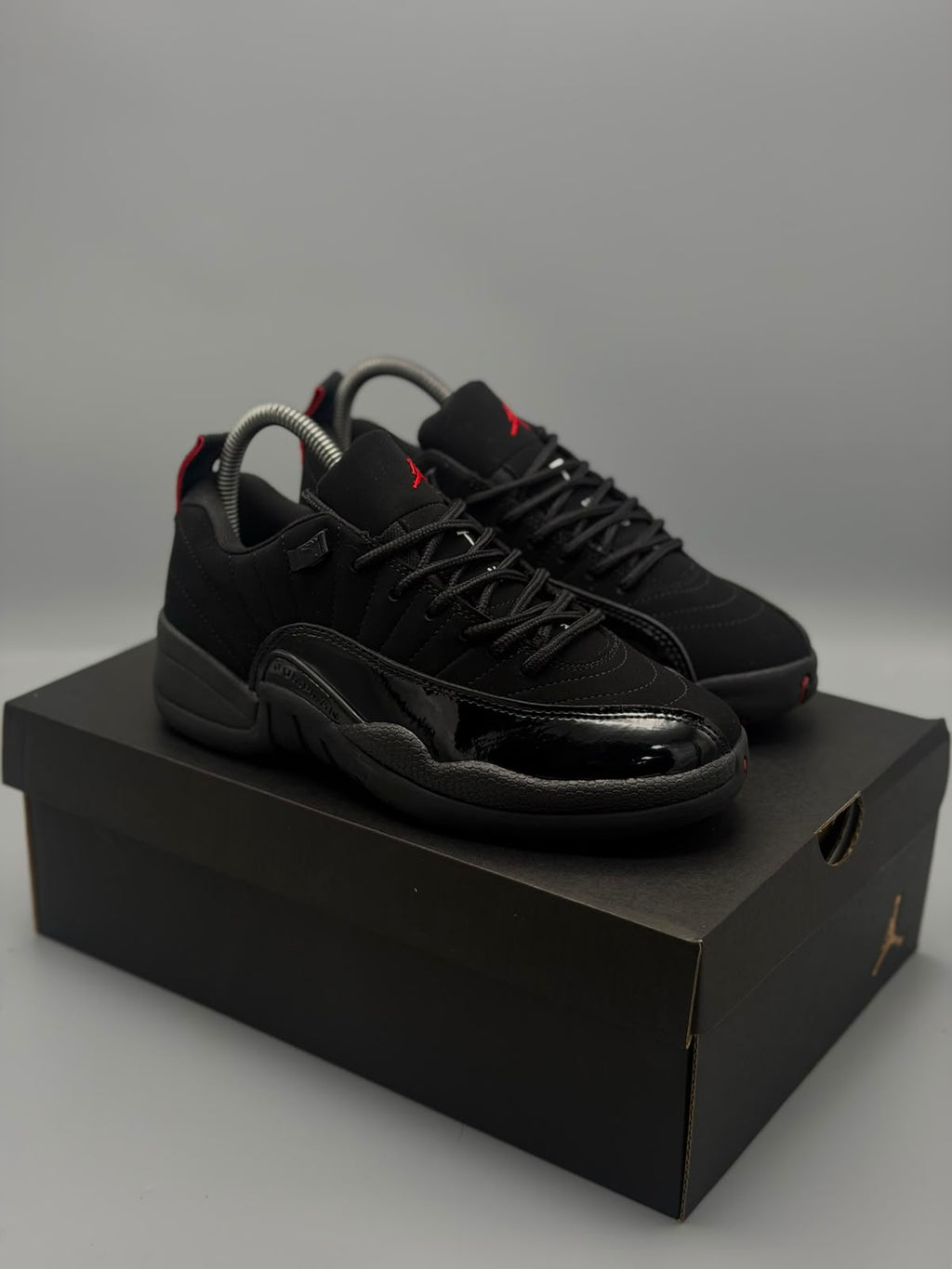 Air Jordan 12