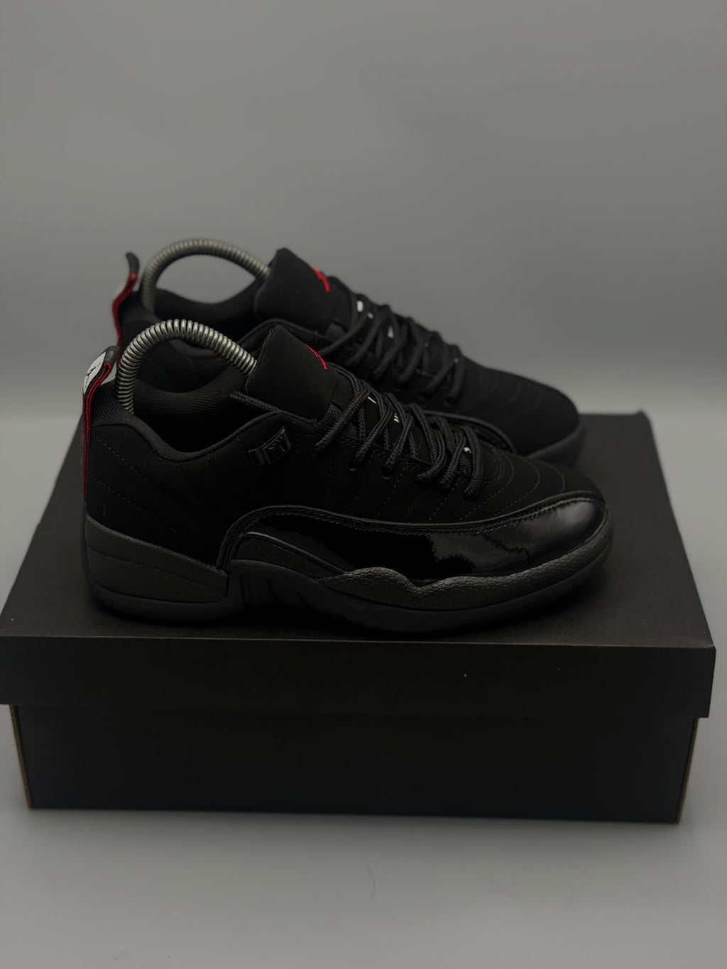 Air Jordan 12