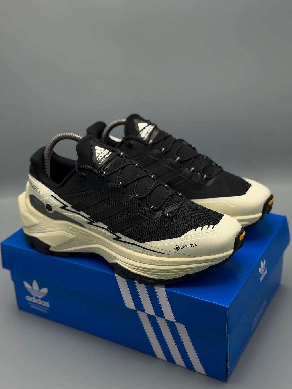 Adidas Terrex "Agravic GTX"