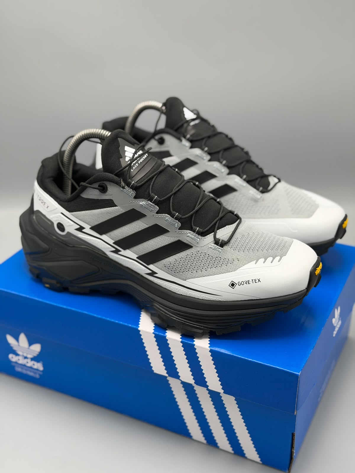 Adidas Terrex "Agravic GTX"