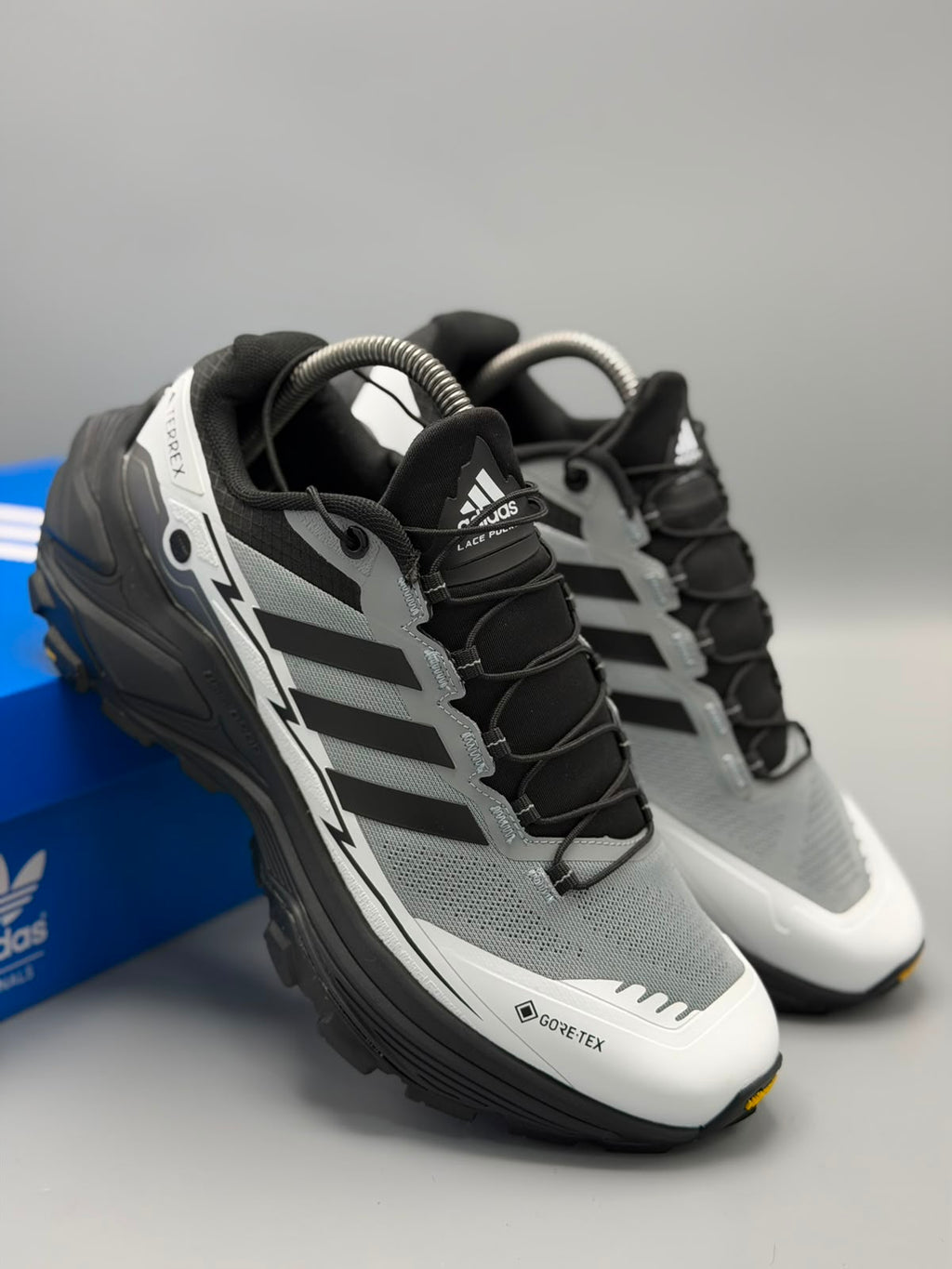 Adidas Terrex "Agravic GTX"